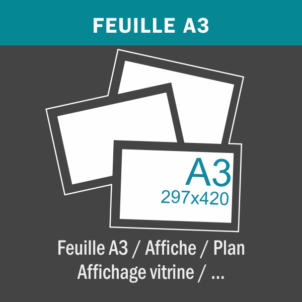 Feuille A3