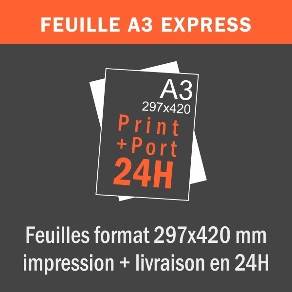 Affiche A3 - Express