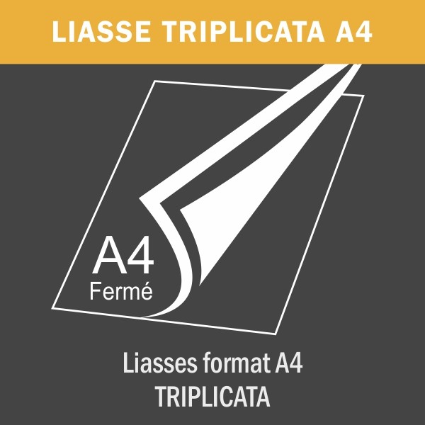 Liasse triplicata A4