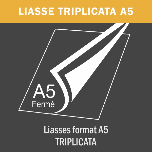 Liasse triplicata A5