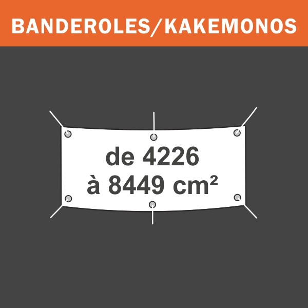 Banderole de 4226 